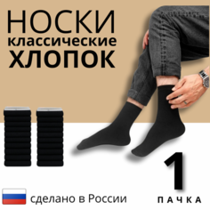 Носки , комплект, 2 пары, размер 25, черный не определенно