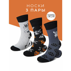 Носки MACHO, комплект, 3 пары, размер 36-38, черный/серый/коричневый