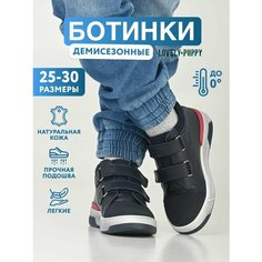 Ботинки Lovely Puppy, размер 28, темно-синий