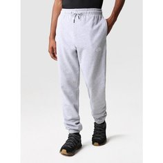 Брюки спортивные The North Face, размер L, серый