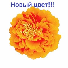 Брошь, 1 шт., оранжевый Нет бренда