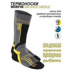 Носки NORFIN, размер 39/41, серый