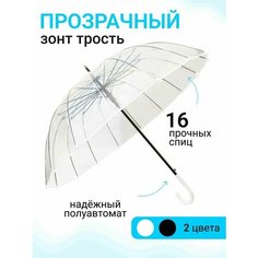 Зонт-трость , бесцветный Zur Kibet