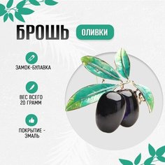 Брошь, эмаль, металл, 1 шт., фиолетовый, зеленый Нет бренда