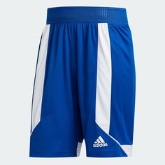 Шорты adidas, размер XLT, синий