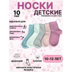 Носки Базовая коллекция, 10 пар, размер 10-12, , розовый Нет бренда