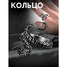 Кольцо, серебристый Miscellan