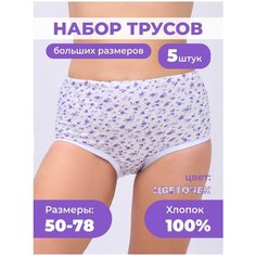 Трусы AL&IR Textile Ivanovo, комплект из 5 шт., размер 50, голубой