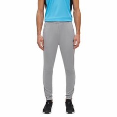 Брюки спортивные Reebok, размер 2XL, серый