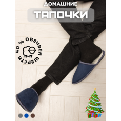 Тапочки Мужские тапочки из овечьей шерсти, размер 42, синий Traam