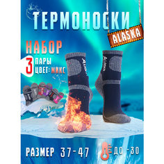 Носки Alaska, комплект, 3 пары, размер 37-41, мультиколор