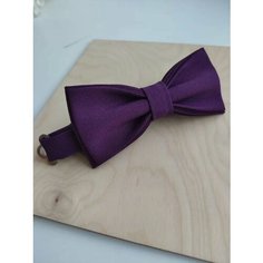 Бабочка ZamDina, фиолетовый
