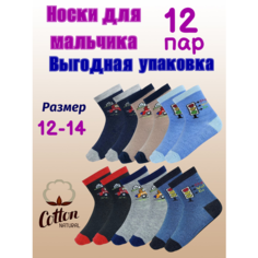 Носки Фенна 12 пар, размер 20-23, , разноцветный