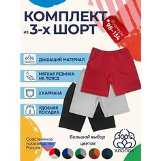 Шорты Детрик Весна-лето 2024, размер 98, черный, красный, серый