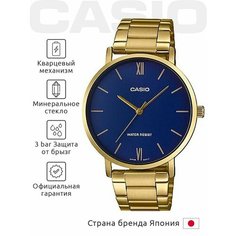 Наручные часы CASIO Collection, синий/золотой