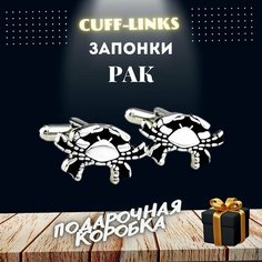 Запонки , серебряный Cuff Links