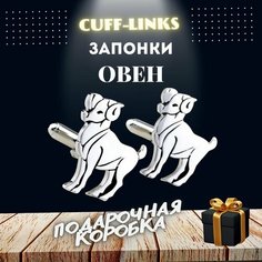 Запонки , серебряный Cuff Links