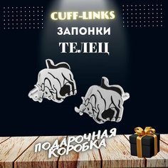 Запонки , серебряный Cuff Links