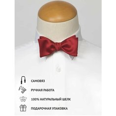 Бабочка Gentle Man, красный
