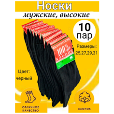 Носки Белорусские, комплект, 10 пар, размер 31(45-46), черный