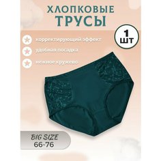 Трусы , размер 13xl, темно-зеленый Нет бренда