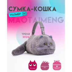 Сумка MAOTAIMENG, серый