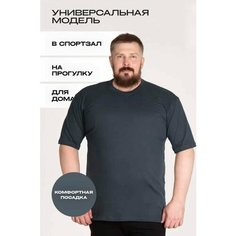 Футболка, размер 66, темно-серый Нет бренда