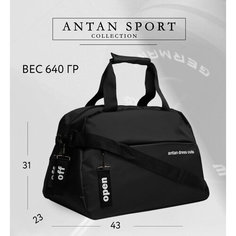 Сумка спортивная Antan, 20 л, 29х31х43 см, ручная кладь, черный