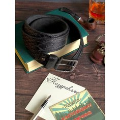 Ремень , размер 120, черный Alligatorm