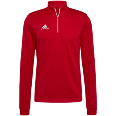 Свитшот спортивный adidas, размер 152, team power red