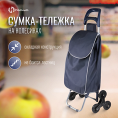 Сумка-тележка Homium, 35 л, 30х95х38 см, ручная кладь, темно-синий