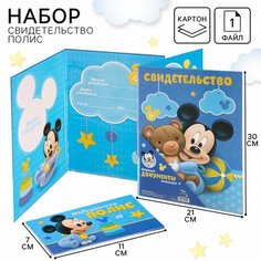 Комплект для личных документов Disney, голубой
