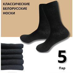 Носки , комплект, 5 пар, размер 27, черный не определен