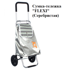 Сумка спортивная Joy Home, 30 л, 39.5х102х32 см, серебристый