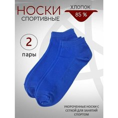 Носки BIZ-ONE, комплект, 2 пары, размер 48-50, васильковый