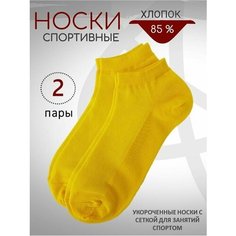 Носки BIZ-ONE, комплект, 2 пары, размер 48-50, Желтый