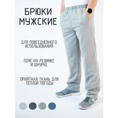 Брюки RB, размер 48/L, светло-серый