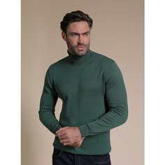 Водолазка LUIGGI FENZO, размер L, , темно-зеленый
