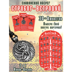 Славянский оберег, колье ОптимаБизнес, серебряный