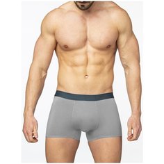Трусы Sergio Dallini, размер M-46-48, gray