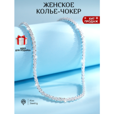 Цепь, длина 40 см, серебристый Alex Jewelry
