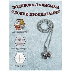 Колье ОптимаБизнес, серебряный