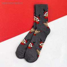 Носки Kaftan Спорт, размер 41, серый