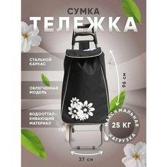 Сумка-тележка , 32х96, ручная кладь, черный Way Shop