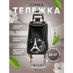 Сумка-тележка , 32х96, ручная кладь, черный Way Shop