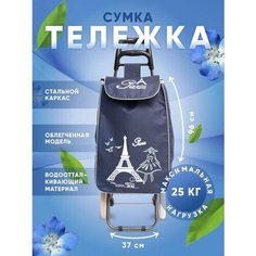 Сумка-тележка , 32х96, ручная кладь, синий Way Shop