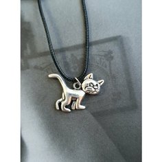 Колье, черный, серебряный Pro Shik