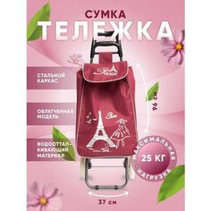 Сумка-тележка , 32х96, ручная кладь, красный Way Shop
