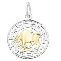 Подвеска The Jeweller, серебро, 925 проба, родирование, фианит, серебристый, золотистый