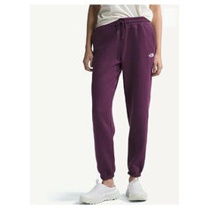 Брюки спортивные The North Face, размер M (46), фиолетовый